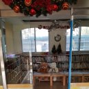 선린초병설유치원 이미지