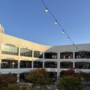 다산푸드 | 다산 현대아울렛 푸드코트 타코야끼 테쿠루 후기 할인 이벤트