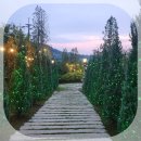 양평 에그팜 | 양평 강하면 카페 칸트의마을 모두가 만족한 야외정원 베이커리 맛집