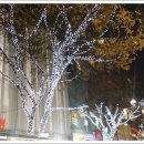 명동텔레콤 이미지