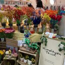 코엑스 2026 서울리빙디자인페어 구매 후기
