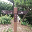 고슴도치펜션 이미지