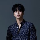 이정형 카카오 검색결과