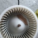 오렌지크리닝 | 포항차에어컨 에바크리닝 / 송퐁구 자동차 에어컨 공조기 냄새 악취 제거 후기 (내시경 에바클리닝)