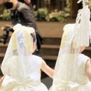 은은한 포인트, 리본베일 – 리본으로 완성하는 나만의 특별한 순간