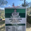 공주 야외 솥뚜껑삼겹살 맛집 노가드네 다녀온 솔직후기
