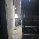 셀립 순라 이미지