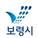 디자인보령