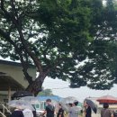 백학중학교 이미지