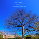 나무의노래 이미지