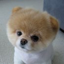 알콩달콩 이미지