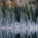 숲디자인 - 남양주시 | 숲디자인