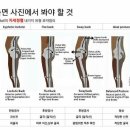 바디코드 이미지