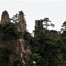 기송 이미지