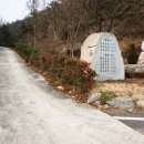 세아조각수목원 Daum카페