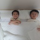 자연사랑어린이집 | 가을 들살이 서초 함께 크는 공동육아 어린이집 특별한 동두천 자연휴양림 1박 2일 후기