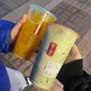 더핏(335) | Mar.