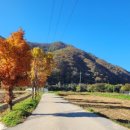 물안개 피는 마을,들꽃향기 이미지