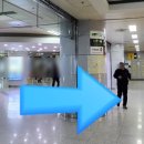 24시꽃 이미지