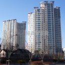 솔빛신도공인중개사사무소 이미지