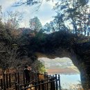 삼봉가든 | 단양 구석구석 1박2일 feat. 쫄보의 짚와이어 후기│단양여행총정리