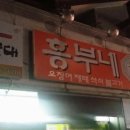 오징어 와 친구들 이미지