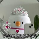 대영체육관 | NCT WISH 2주년 팬미팅 - 6명의 왕자가 나에게 청혼을 하면 곤란한데요 후기 💚👸🏻🤴🏻💍👰🏻‍♀️🤵🏻‍♂️