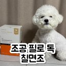 강아지 건강 챙기는 습식 조공 필로독 찐 후기가 궁금하다면