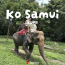 행복 스테이 | [투어스테이 후기 매일이 행복했던 5박 7일 코사무이 신혼여행💖