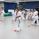 일동태권도장 | 태권도를 뛰어나게 가르치는 성호태권도장