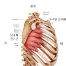 F4GYM(에프포짐) 이미지