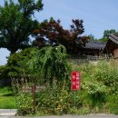 수출대로-13 이미지