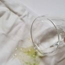 풀물