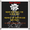 한완수 이미지