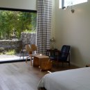 스테이 소이 이미지