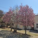 도대1로 이미지