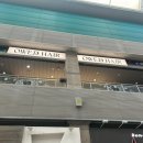 오위드 | 고양 / 새해맞이 모발 클리닉 후기, 일산미용실 오위드헤어 은경 디자이너 추천