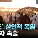 지구촌 곳곳 폭염에 사상자 속출...바다 생태계도 위협 이미지