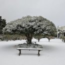 호호산장 이미지