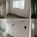 현대7호 이미지