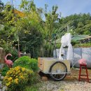 숲속 짱구네 이미지