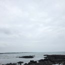 아리랑야채과일 | 해비치 호텔&amp;리조트 조식 이디, 섬모라 후기