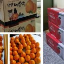 생명나무가꾸는사랑의한의원 이미지