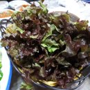 거제회센타 이미지