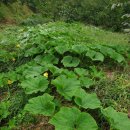 두릉농장 이미지