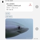 윤지슈퍼 | 이 가련하고 정신이 나갔으나, 아름답고 뻣뻣한 친구는 무얼 할 수 있을까?