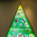 진해만 생태숲 학습관 | [놀러다니기]5살 아이랑 진해만 생태숲 학습관 (실내 산림욕장) 방문후기