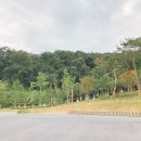 BMX경기장 이미지