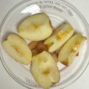 와써피싱 | 연휴에 머하셨어요?