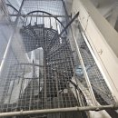 아이와 함께 런던패스 플러스 후기 (세인트폴대성당, 런던탑, 타워브리지, 더샤드, 런던아이, 빅버스)